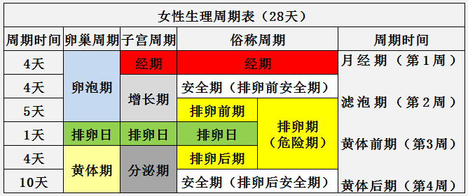 两个月没来月经正常吗？深度解析女性生理周期与健康的奥秘