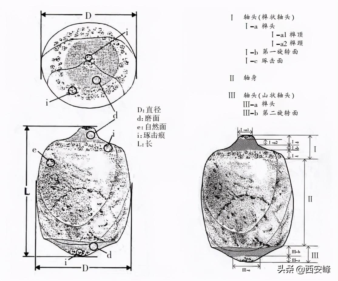 史话 第449页