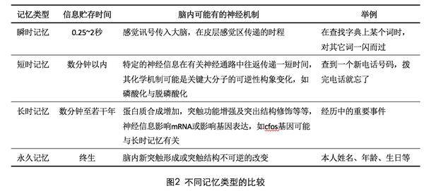 澳门知识专家文章，江苏迈特科技资料解析