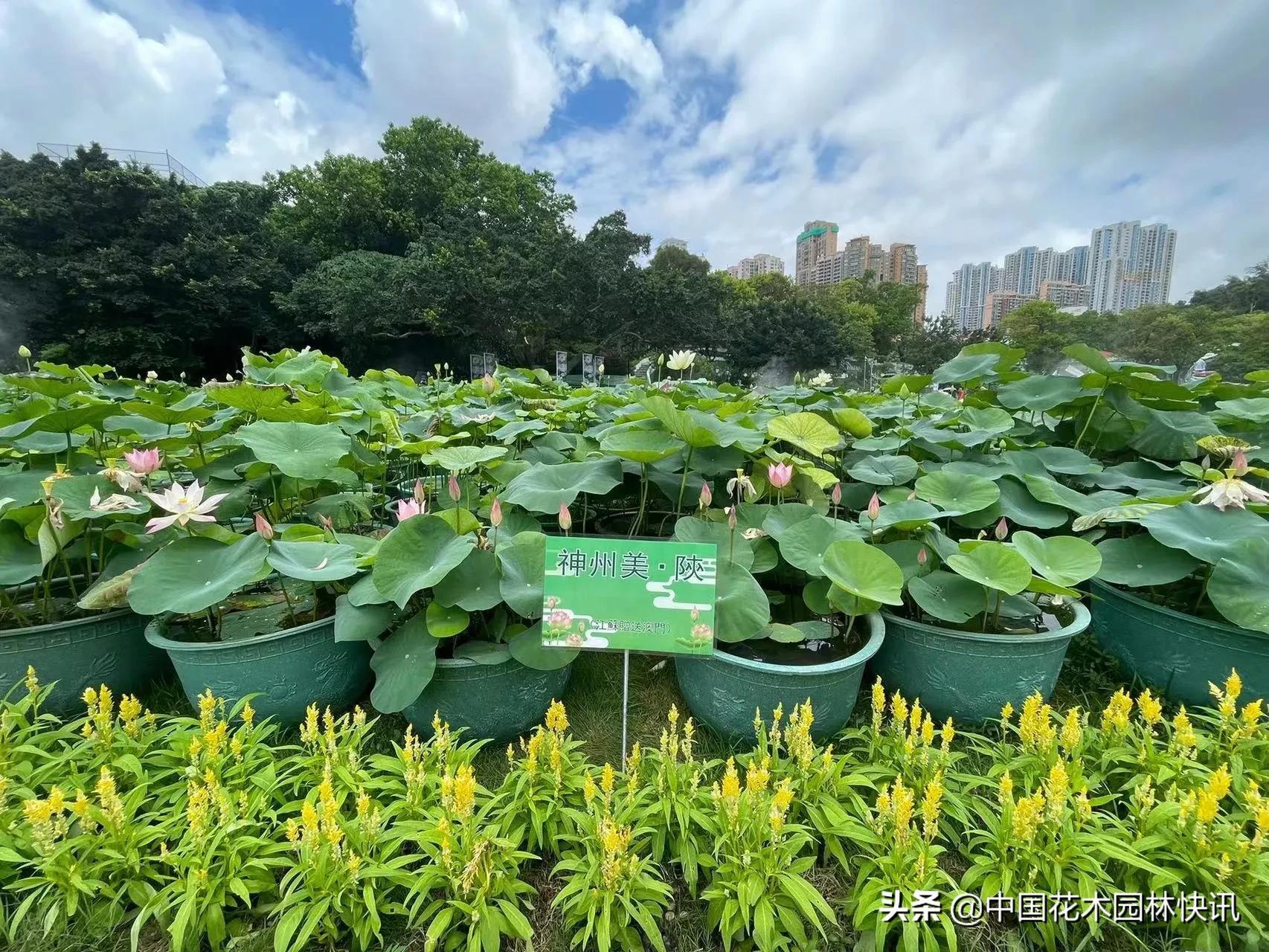 江苏科技人员创业在澳门的机遇与挑战