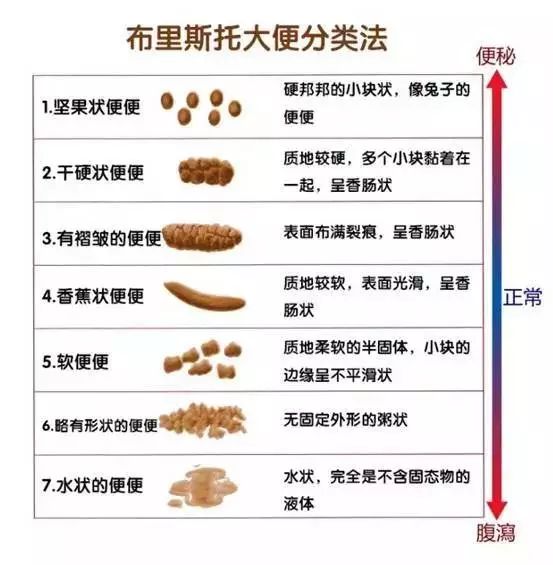 5个月婴儿大便次数，全面解析与护理指南